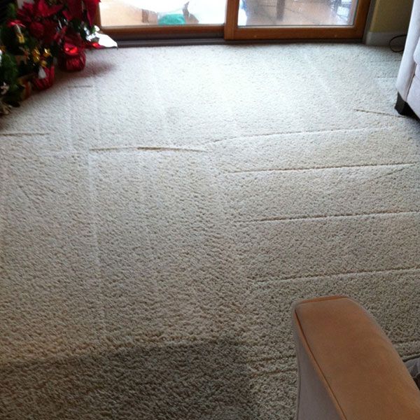 Clean Carpets by World Class Carpet Cleaning